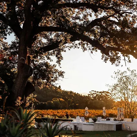 Basse Provence Country House-3